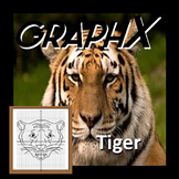 Coordinate Graphing - GraphX - Tiger