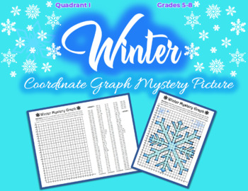 Preview of Coordinate Graphing Picture - WINTER, SNOWFLAKE