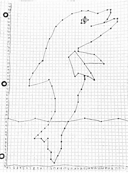 Differentiated Coordinate Graphing Mystery Picture in ...