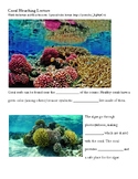 Coral Bleaching Lecture