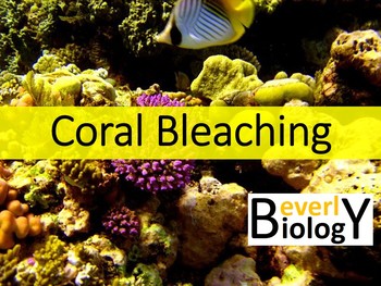 Preview of Coral Bleaching PowerPoint (with handout)