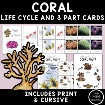 Preview of Coral Life Cycle and Parts of a Coral Polyp Three Part Cards and Books