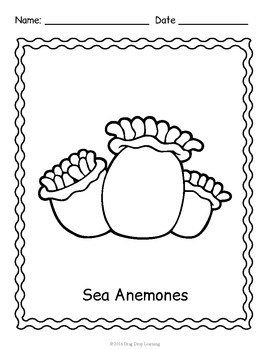 Prek And Kindergarten Ocean Activity Coral Reef Coloring Pages