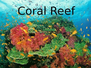 Coral Reef by Science of China | TPT