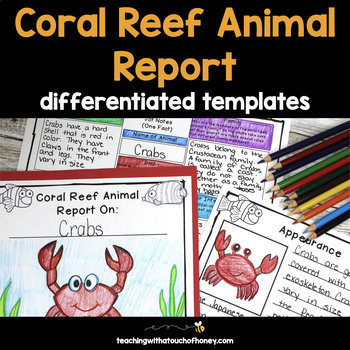 Preview of Coral Reef Activities | Ocean Animal Research Project | Report Writing Templates