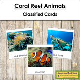 Types of Coral Reef Animals - Montessori 3-Part Cards - Vo