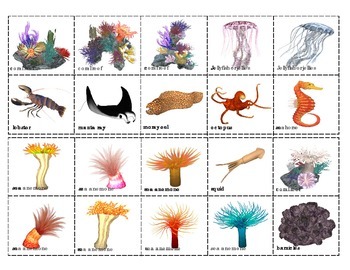 Coral Reef Animals: Mini Matching and Vocabulary Enrichment Cards