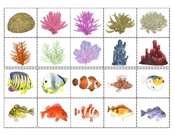 Coral Reef Animals: Mini Matching and Vocabulary Enrichment Cards