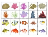 Coral Reef Animals:  Mini Matching and Vocabulary Enrichme