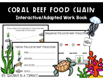 Preview of Coral Reef Food Chain Adapted Work Book