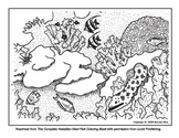 Coral Reef Coloring Sheets with info about Reef Etiquette