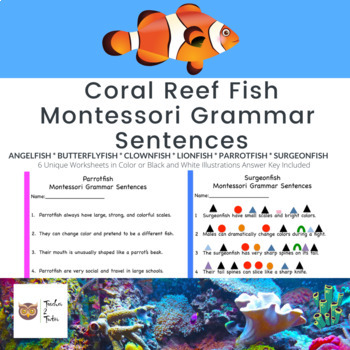 Preview of Coral Reef Fish Montessori Grammar Sentences
