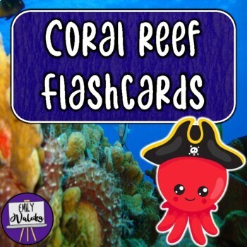 Preview of Coral Reef Flash Cards - Under the Sea Photo Vocabulary Cards