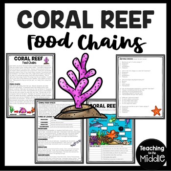 coral reef food chain diagram