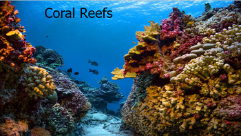 Coral Reef Formation by Andys Keep it fun | TPT