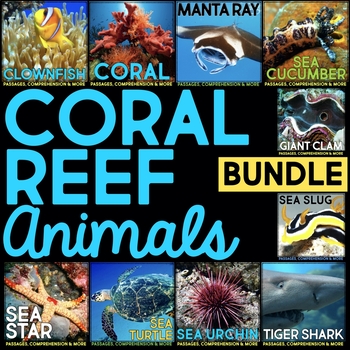 Preview of Coral Reef Nonfiction Animal Research Reading Passages & Comprehension Activity