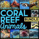 Coral Reef Nonfiction Animal Research Reading Passages & C