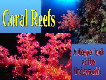 Coral Reef PPT by Charlotte Thompson | Teachers Pay Teachers