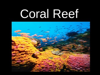 Preview of Coral Reef Powerpoint