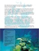 Coral Reef Reading and Crossword Puzzle by Stewards of America Science