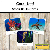 Coral Reef Safari TOOB Cards - Montessori