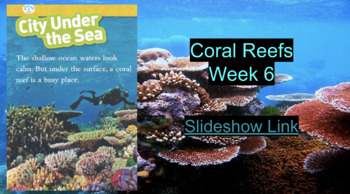 Preview of Coral Reef Slideshow (Grade 1 & 2)