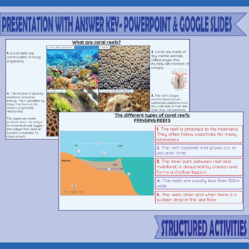Coral Reefs by The Geography Oasis | Teachers Pay Teachers