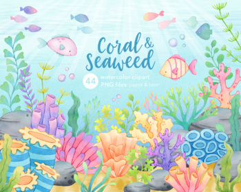Preview of Coral and Seaweed Watercolor Clipart, Underwater Scene, Ocean Life PNG