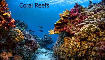 Preview of Coral reefs, coral biology and reef ecology