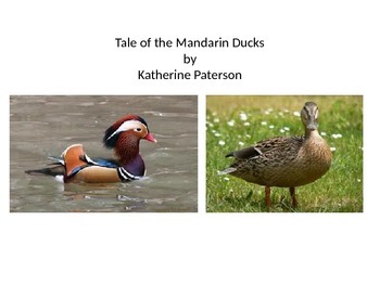 Preview of Core Curriculum literature "The Tales of the Mandarin Ducks"