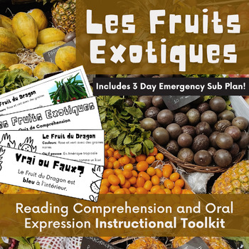 Preview of Core French A1 Vocabulary & Comprehension Mini Unit and 3 day Emergency Sub Plan