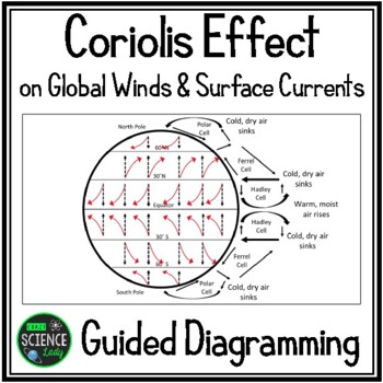 Preview of Coriolis Effect - Global Winds - Surface Currents - Oceanography