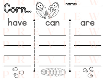 Preview of Corn HAVE CAN ARE | Organizer | Writing | Phonics | Verbs | Adjectives | Noun
