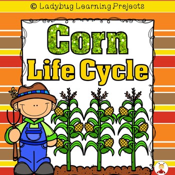 Preview of Corn Life Cycle  (Reader, Lap Books, Picture / Voc. Cards, & Writing)