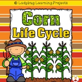 Corn Life Cycle  (Reader, Lap Books, Picture / Voc. Cards,