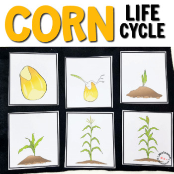 Preview of Corn Montessori Life Cycle Printables