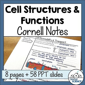 Preview of Cornell Notes for Biology - Cell Theory - Cell Organelles - Cell Transport
