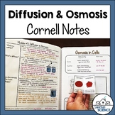 Cornell Notes for Biology - Osmosis Diffusion Cellular Transport