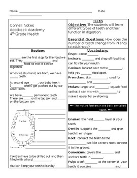 Preview of Cornell Notes on Teeth