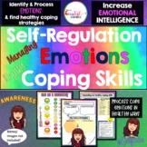 Counseling Resource for Self-regulation Emotional Manageme