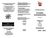 Counselor Brochure (School)