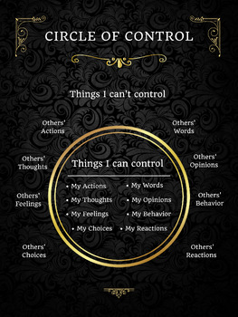 Preview of Counselor Strategy Poster (Circle of Control)