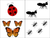 Count Around the Room: Bugs 1-10