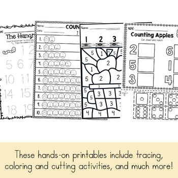 count read and write numbers 0 20 by bilingual rocks tpt