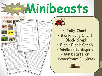 Preview of Count and Graph Minibeasts Tally Chart Block Graph Project and Activity Sheets