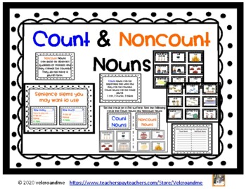 assignment is a count or noncount noun