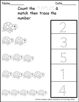Count & match tracing numbers by the branches of learning | TPT
