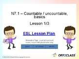 Countable And Uncountable Nouns – Free ESL Lesson Plan