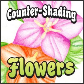 Preview of Counter-Shading Flower Art Project