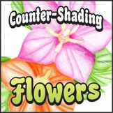 Counter-Shading Flower Art Project